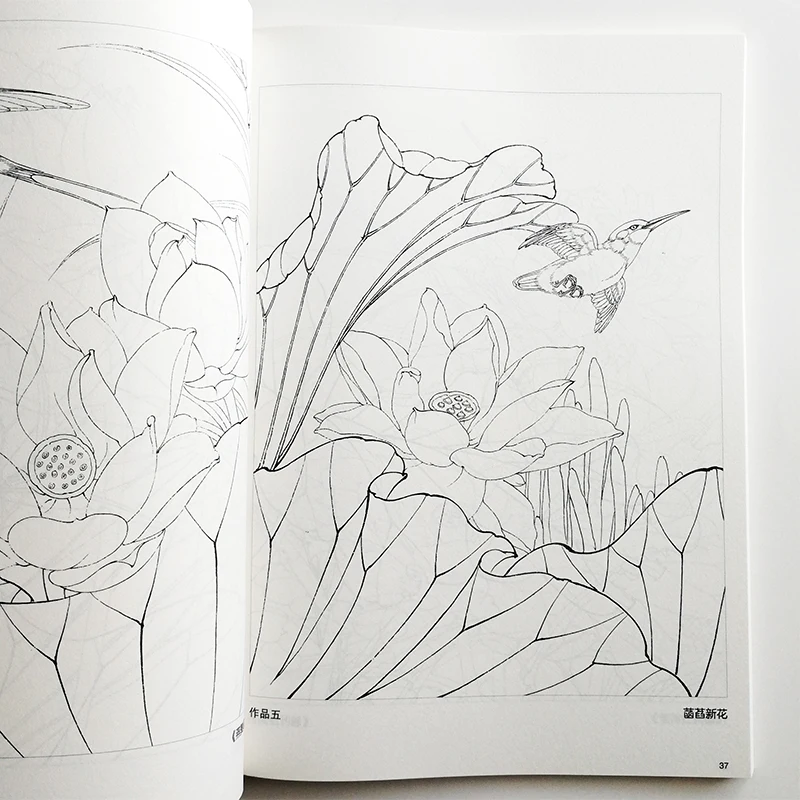 Lotus Line Drawing Collection from Famous Chinese Painters Art Textbook for Demonstration Coloring Book for Adults Lotus Line Drawing Collection from Famous Chinese Painters Art Textbook for Demonstration Coloring Book for Adults