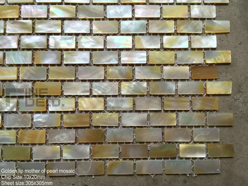 FD8003 golden lip mosaic 4
