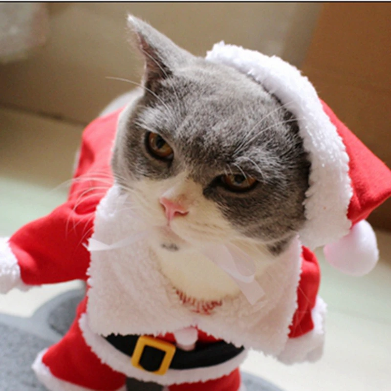 [MPK cat costumes] костюм кошки Санта Клауса! Милый Санта! Красный Санта-Клауса одежда для домашних животных, котов, пальто одежда в рождественском стиле костюм