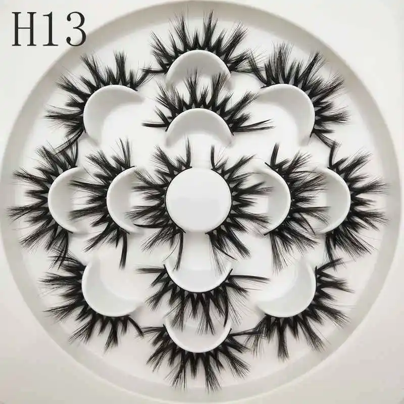 H13.1_