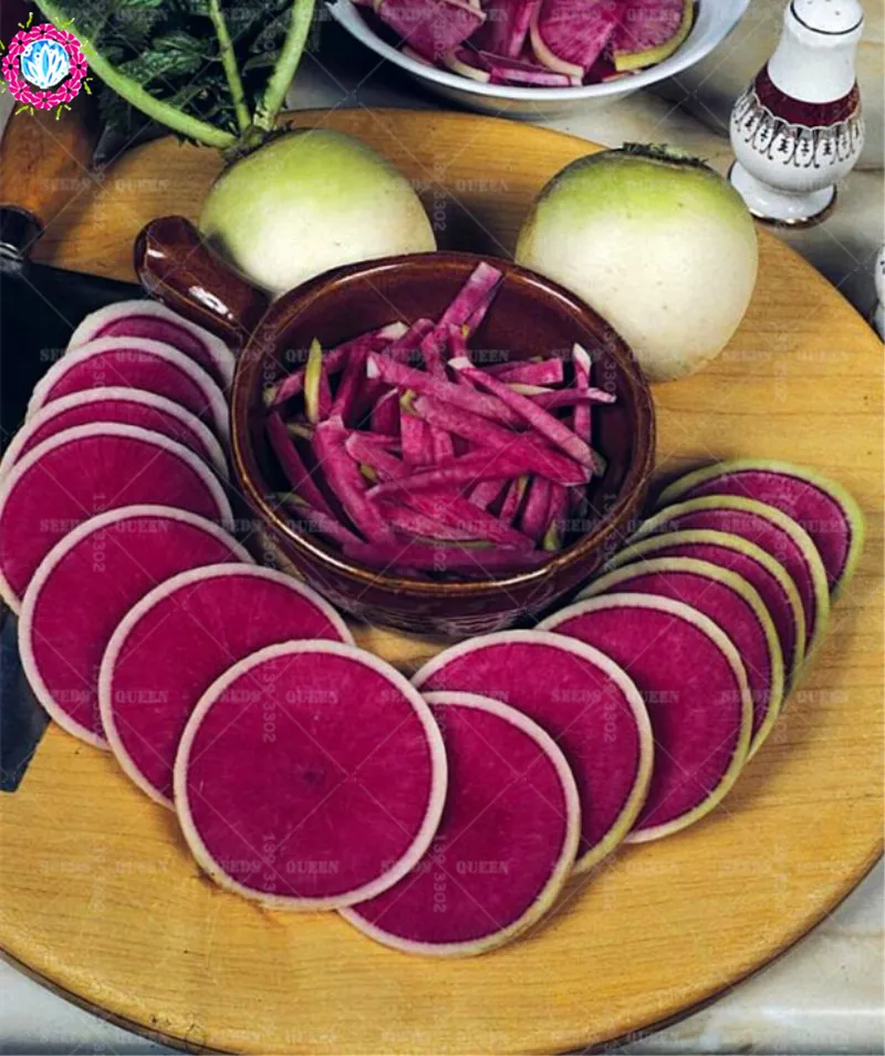 

200pce Red Radish Bonsai Plants Heirloom Organic Vegetable Non-GMO Beets Natural Growth Potted Planting For Home Garden Supplies