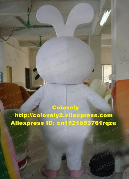 zz1029.3