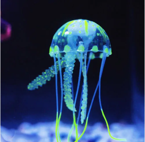 rgrgrg