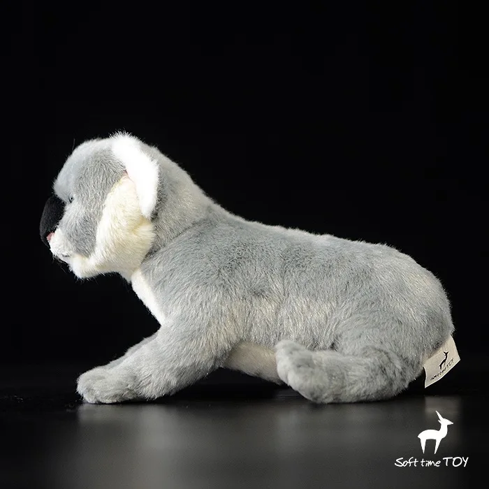 Милая игрушка коала моделирование коала медведь кукла модель плюшевого животного игрушка 23 см