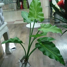 Artificial flower Calla lily leaveshigh quality PU gluing texture leaves DIY potted flower arrangements Artificial flower Calla lily leaveshigh quality PU gluing texture leaves DIY potted flower arrangements