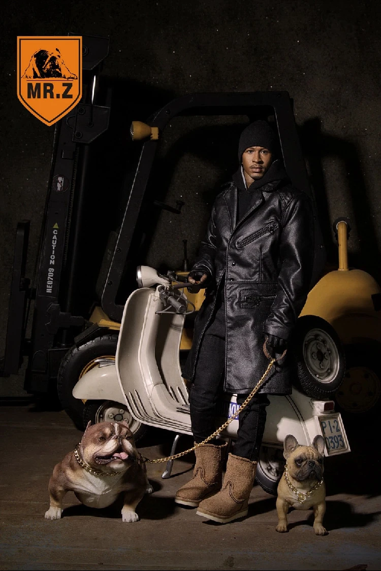Mr.Z 1/6 имитация животного Американский Bully 2 0 для экшн фигуры коллекция Набор