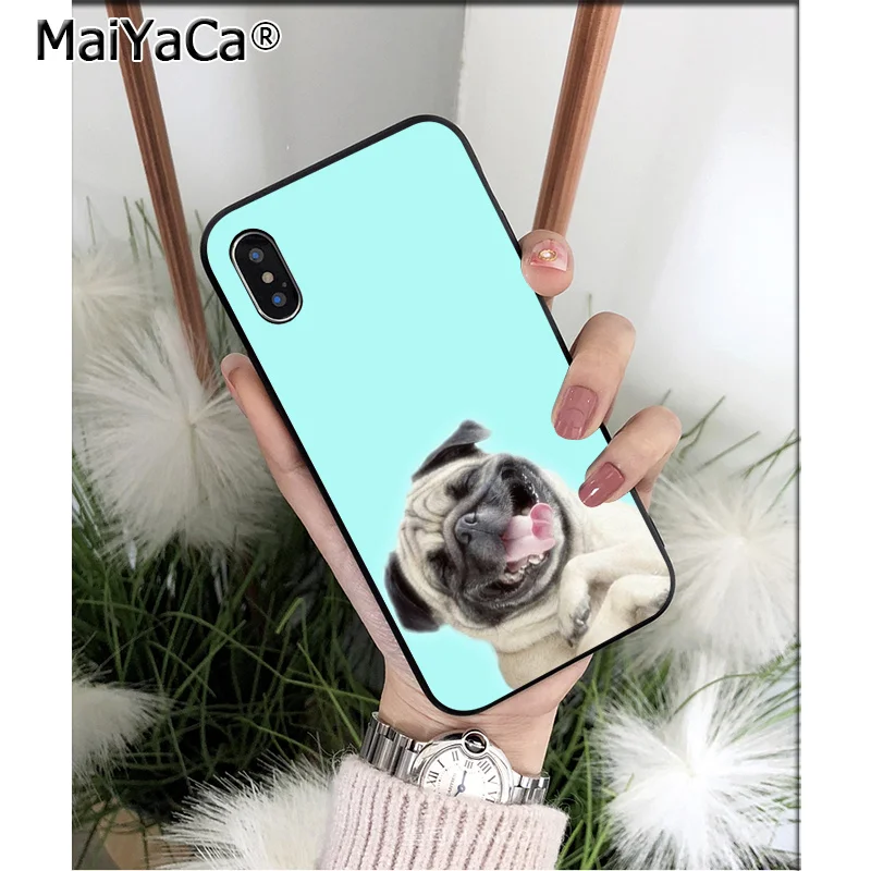 Cute Anime Bulldog