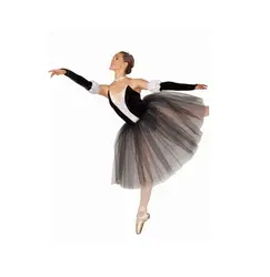 2018 новое поступление Limited балетная пачка гимнастика балетное трико для Для женщин взрослых профессиональные Костюмы Одежда для пачки