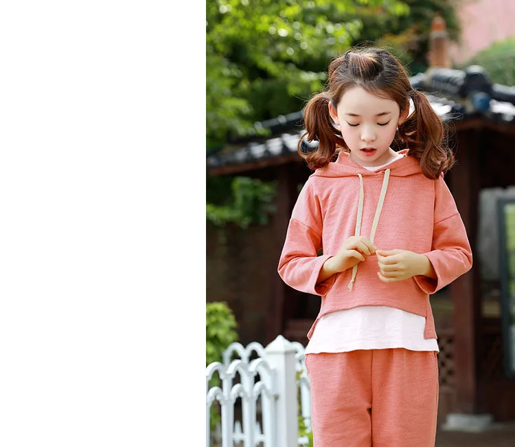 baby teenage girls clothing sets girl sport suits children clothing sets 2017 Brand New hooded kids clothes set hoody and pants  4 5 6 7 8 9 10 11 12 13 14  years old little big teenage girls tracksuits sets sports clothes  (5)