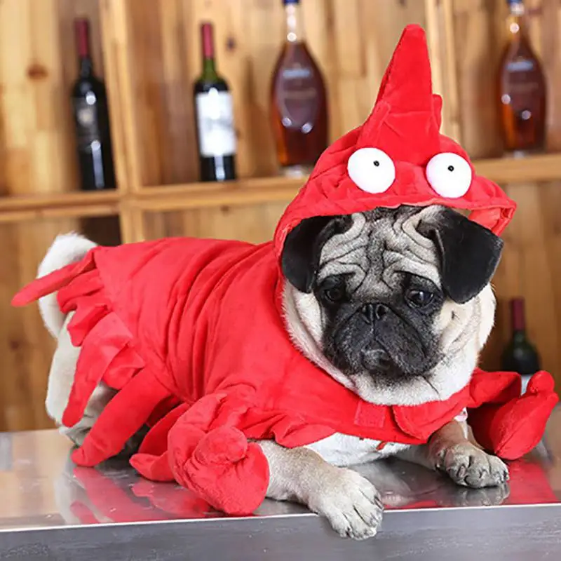 Interesting Cosplay Costume Dog Cat Clothes Puppy Lobster Shape Funny Performance Shrimp Design Coat For Party | Дом и сад