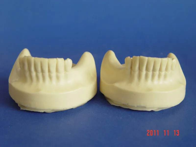 Старшая модель практики посадки зубов, модель посадки зубов, модель зубов, модель челюстей зубов