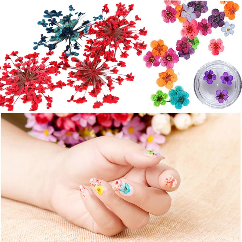 

60Pcs/Set DIY Nail Art Dried Flowers With Bottle 3D Dry Flower/Babysbreath/Leaves Nails Stickers Decoration Manicure Tip well
