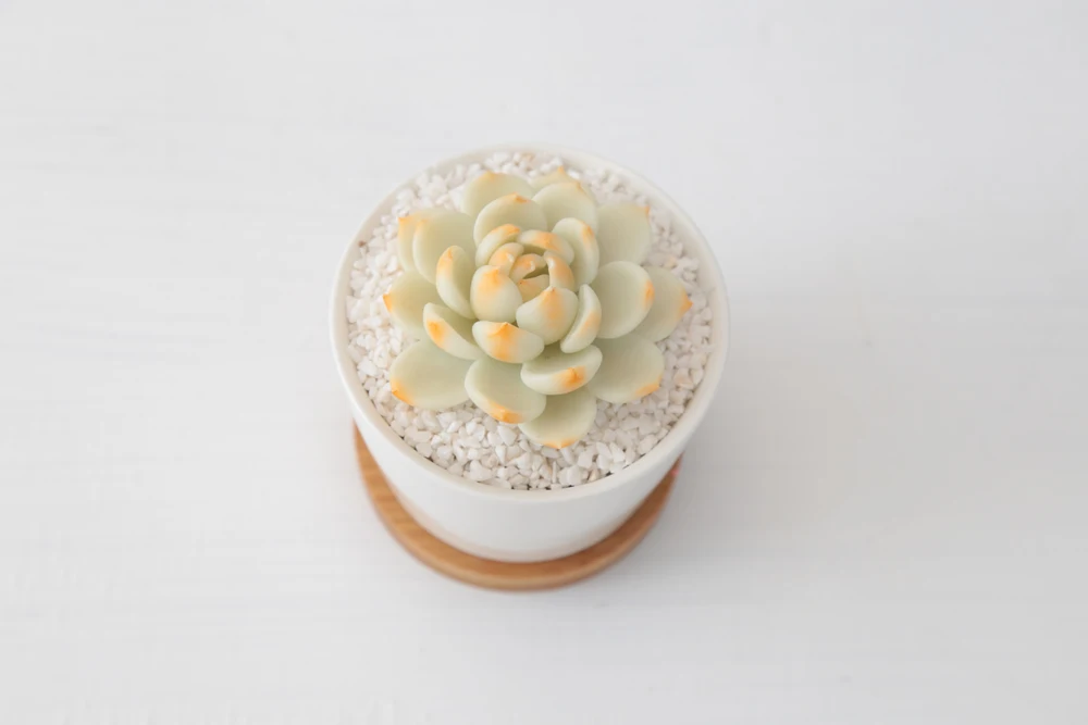 Геометрический круглый белый керамический бонсай плантатор суккулентный цветок настольные горшки современный цветочный горшок с бамбуковым декоративный поднос Zakka