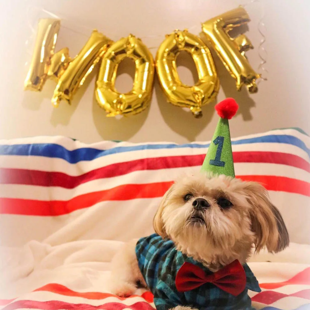 10 шт. 12 дюймов собака с днем рождения латексный воздушный шар золото 16 дюймов wof фольга Balony собака день рождения поставки воздушные шары для украшения