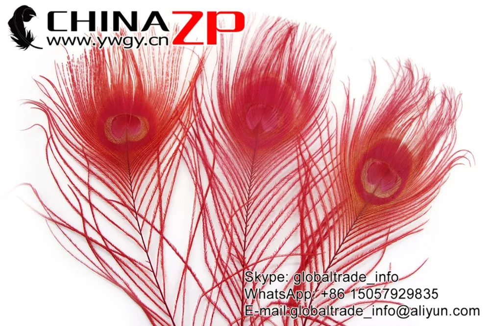 Red Peacock Feathers (9)