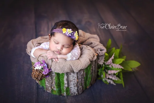 Vintage bark bowl newborn baby wood bed wooden bakset bark wood fabric bed newborn photography props Vintage bark bowl newborn baby wood bed wooden bakset bark wood fabric bed newborn photography props