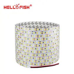 Hello Fish 5 м 600 2835 SMD Светодиодная лента В 12 В flexible120 светодио дный led светодио дный m светодиодная лента белый/теплый белый/красный/зеленый/синий