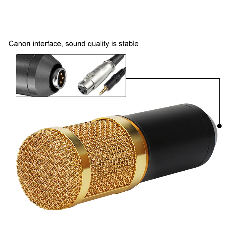 BM 800 Professional Condenser Microphone bm800
