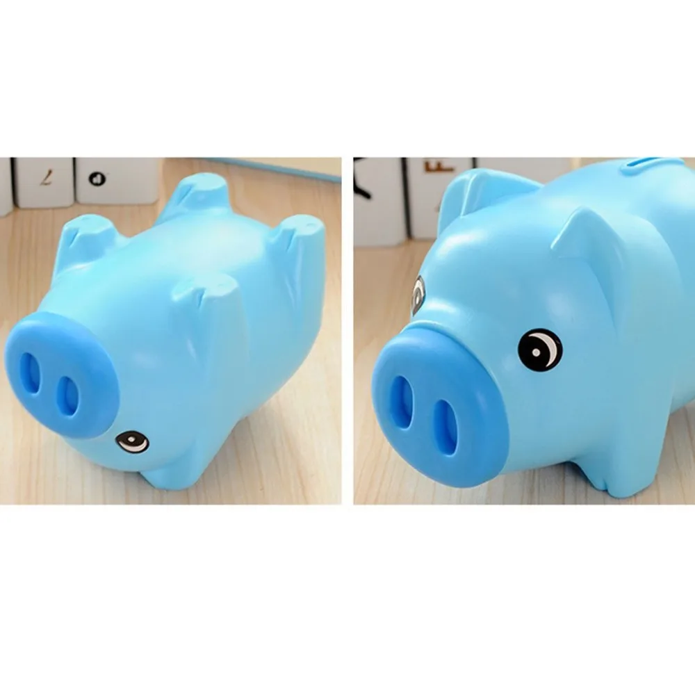 plastic pig money box