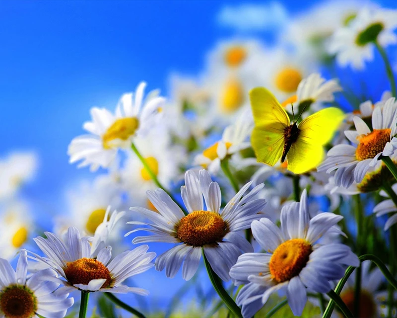 HTB1JWAoRVXXXXcRXpXXq6xXFXXXy