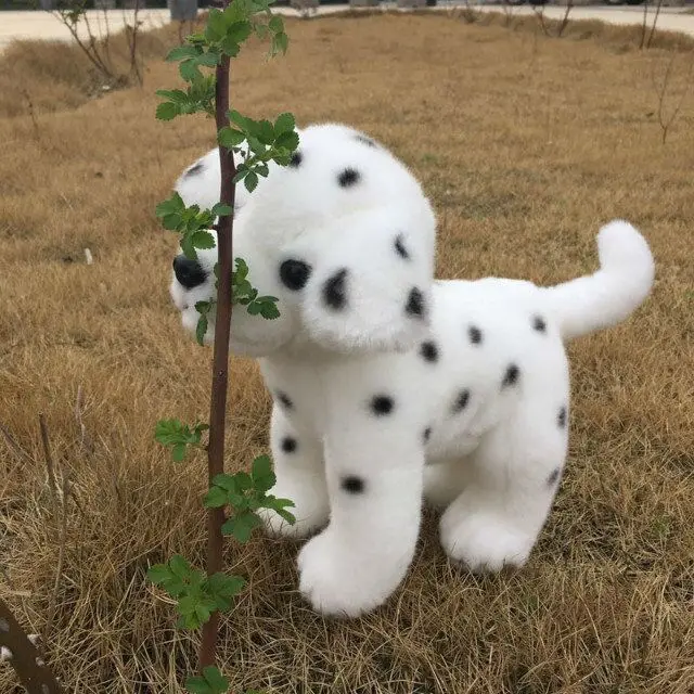 QQ20181204141202
