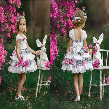 

2019 High quality Baby girls Vintage Flora dress Toddler Kids Girl Ruffle Lace Dress Sleevelss Party dress Pageant Dress for In