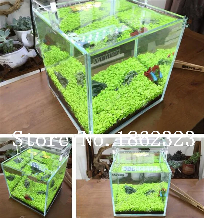 2018 New 500 Aquarium Plant Bonsai Pine Tree Semillas De Plantas Raras Fish Tank Aquatic Plant Indoor Ornamental Sale