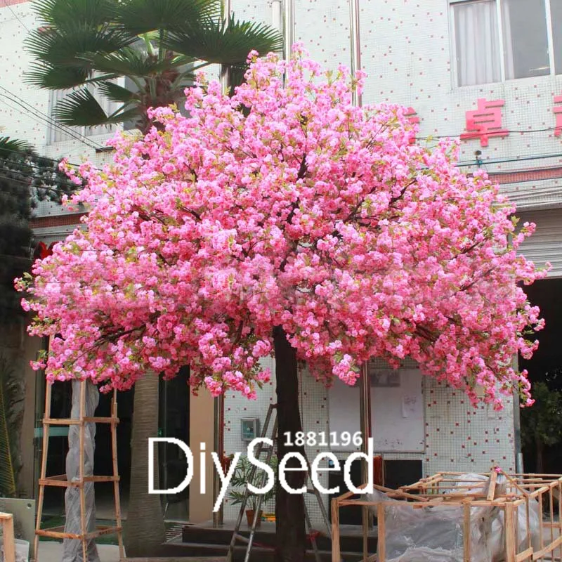 Sakura garden perinton coupons