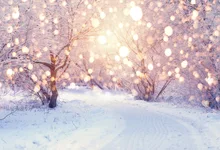 Laeacco Winter Snow Park Trees Light Bokeh New Year Photography Backgrounds Customized Photographic Backdrops For Photo Studio