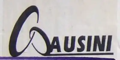 AUSINI