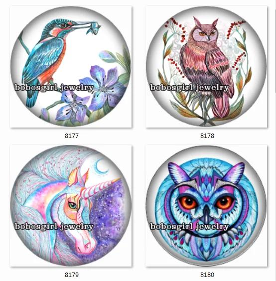 

SN1103 OWL bird snap button Jewelry Charm photo glass cabochon
