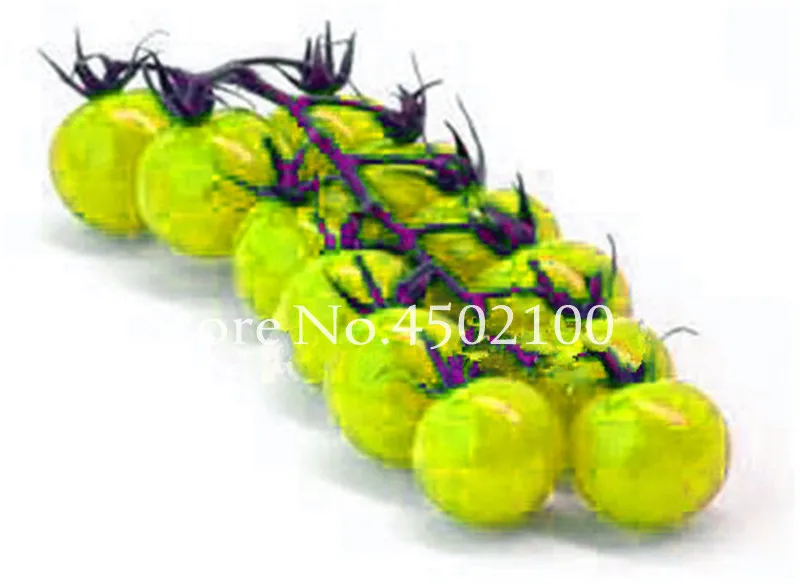 200 Pcs Bonsai Tomato , Rare Rainbow Delicious Cherry Tomato ,Non-Gmo Fruit Vegetables Edible Food Balcony Potted For Garden 200 Pcs Bonsai Tomato , Rare Rainbow Delicious Cherry Tomato ,Non-Gmo Fruit Vegetables Edible Food Balcony Potted For Garden