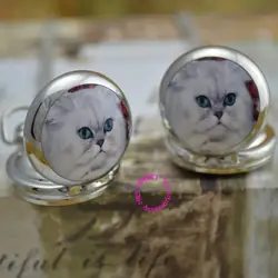 Оптовая цена покупатель хорошее качество серебряный девушка леди зеркало милый белый персидский кот цепи карманные часы ожерелье час