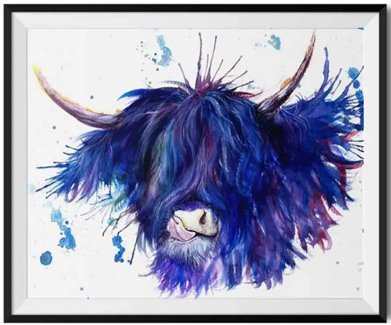 Highland cattle