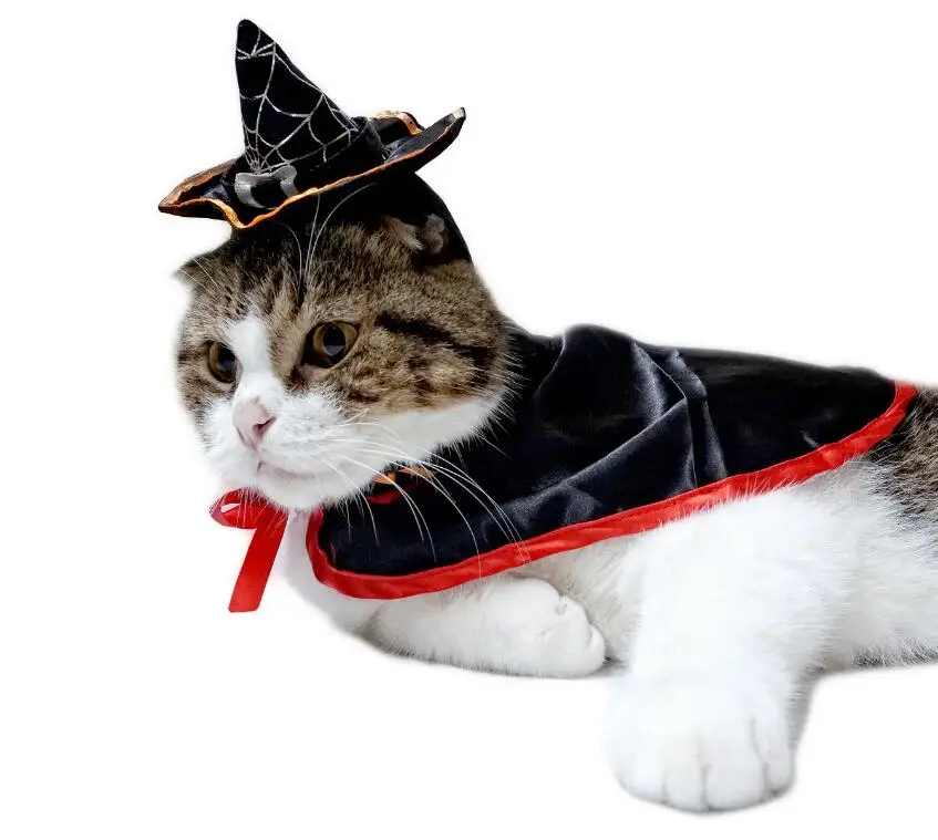 Модный волшебный плащ из полиэстера, костюмы для Хэллоуина для собак, Забавный и милый, удобный в носке Костюм Кошки на Хэллоуин