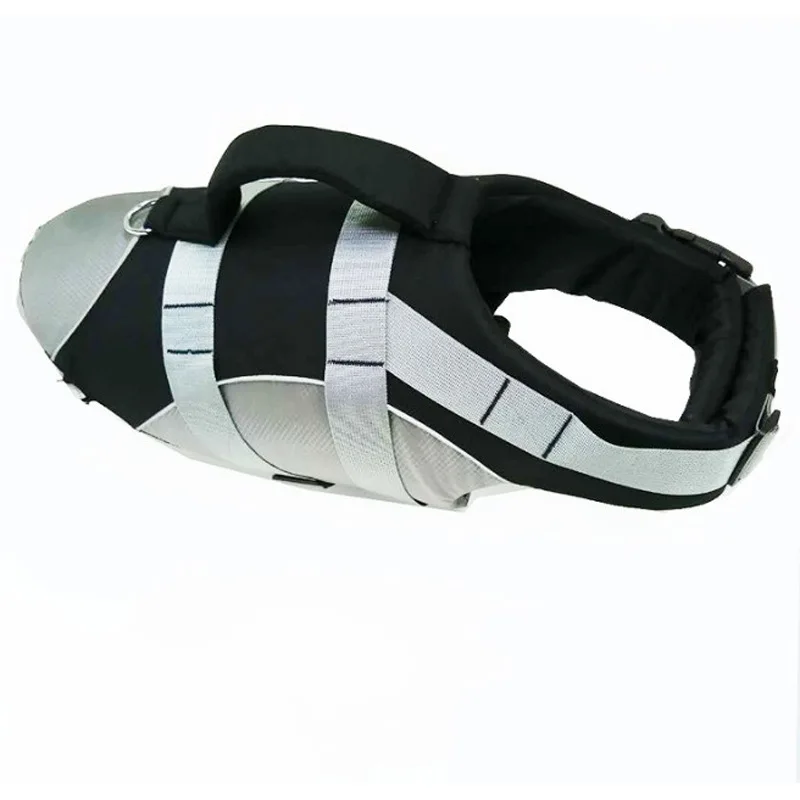 10106145171_1105520187