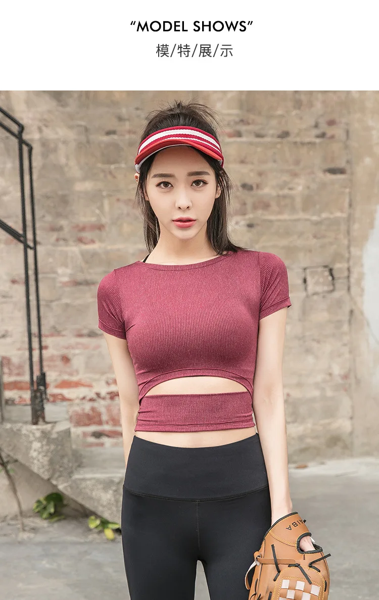 10412669531_2026240113