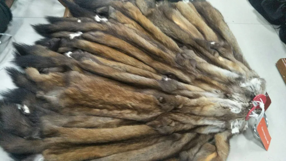 O1CN0124O5QTd3dLL2431_!!1685967380