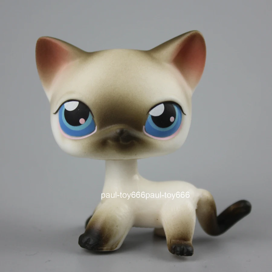 

Yasmine little pet Black White Short Hair Siamese Cat Blue Eyes lps #5