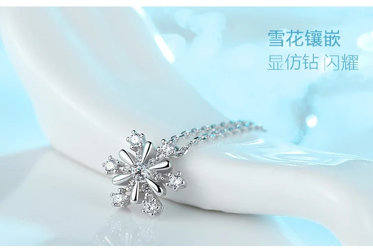 3081034640_911178641