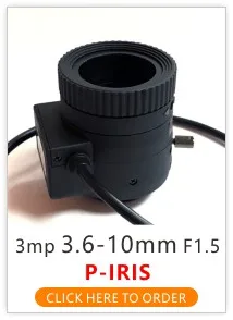 310P