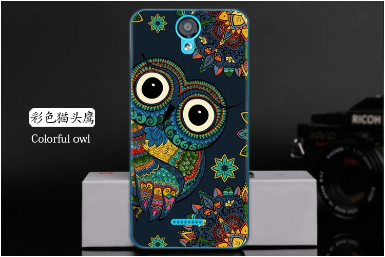 Colorful owl