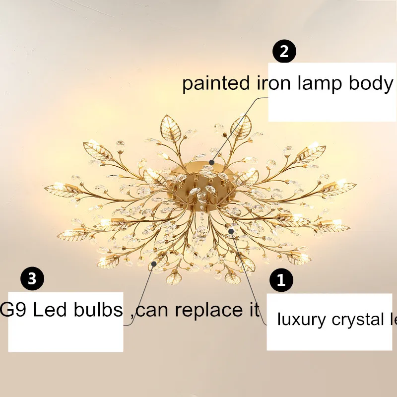 9469830227_190566099