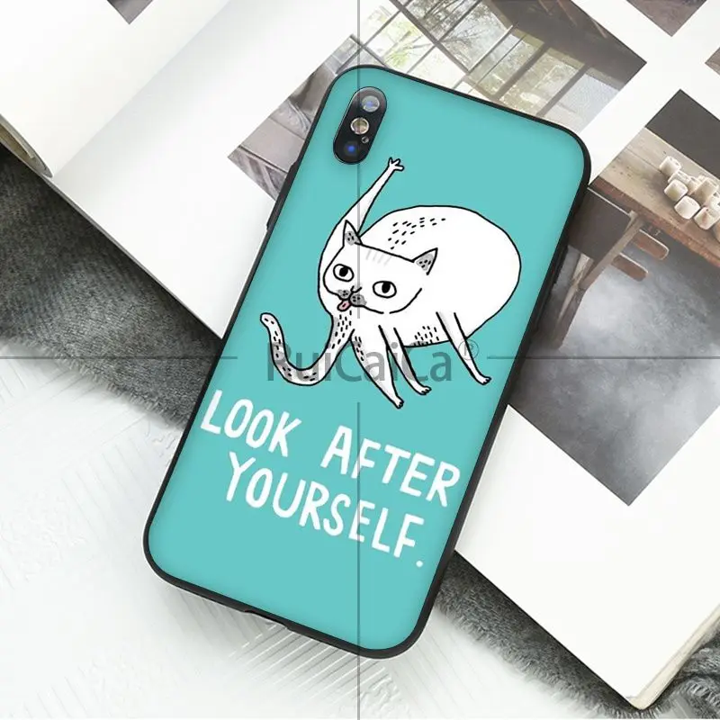 Art middle finger cat