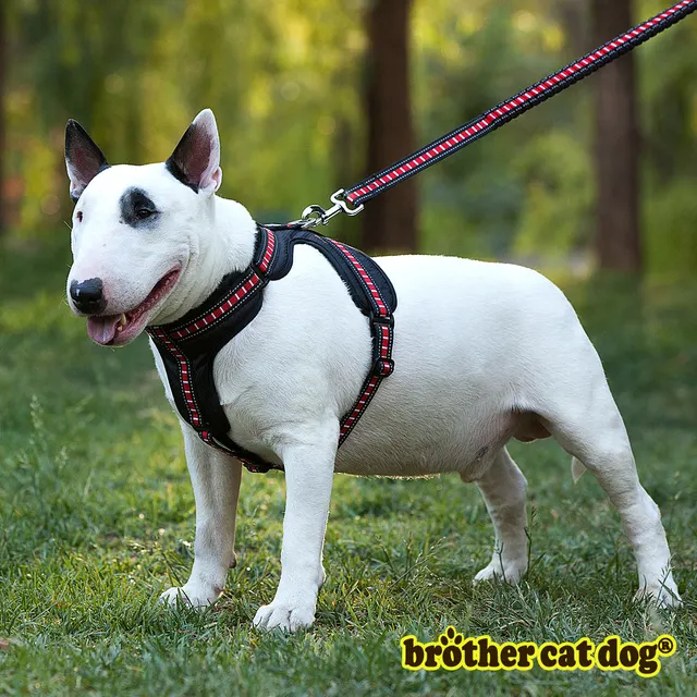 protective dog vest protective dog vest