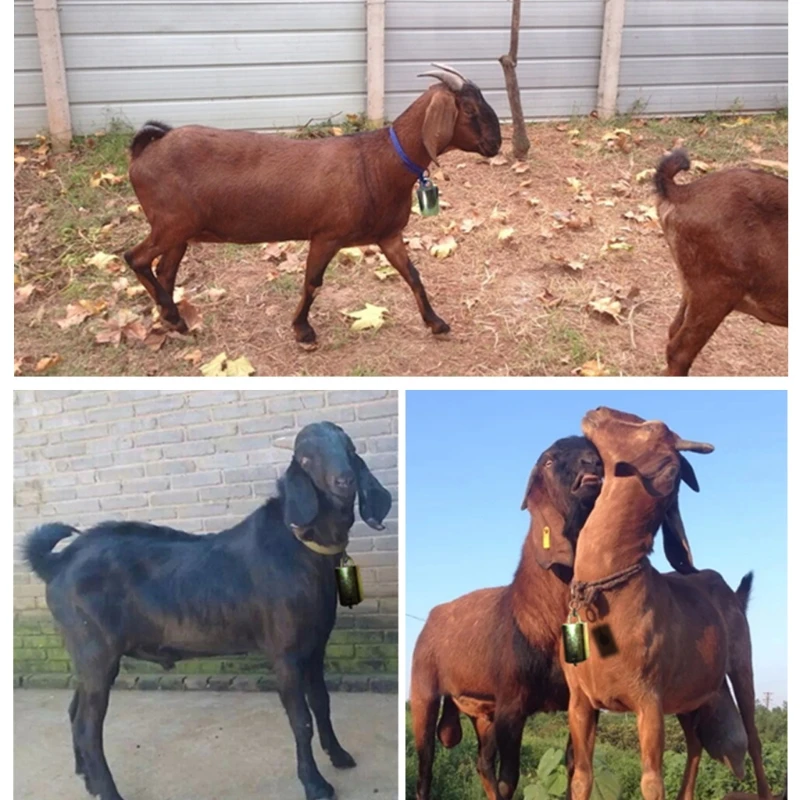 Alloy Grazing Bell For Cow Horse Sheep Cattle Thick Hood Improved Version Prevent Loss Farm Animal Supplies