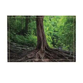 

Bed and Bathroom Carpet Kitchen Mats For Floor Wood Decor, Old Tree Root on Ground of Forests Bath Rugs, Non-Slip Doormat