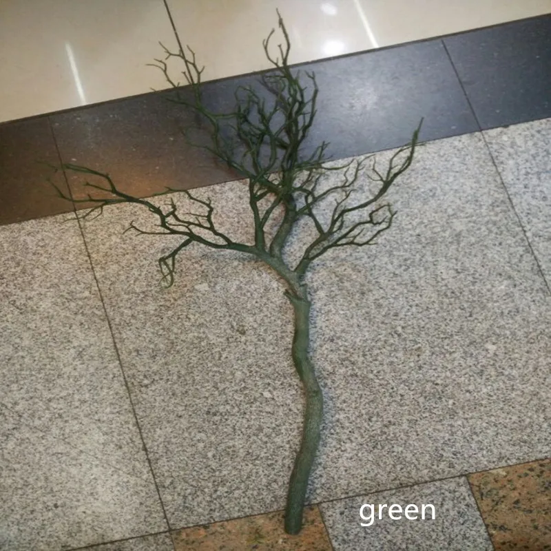 13_conew1