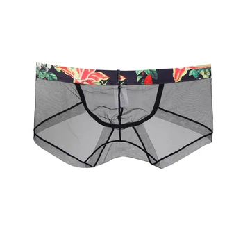 

Men Underwear Sexy Transparent Cotton Underpants Low Waist Print White Blue Black Thin Calzoncillos Hombre Slip MP055