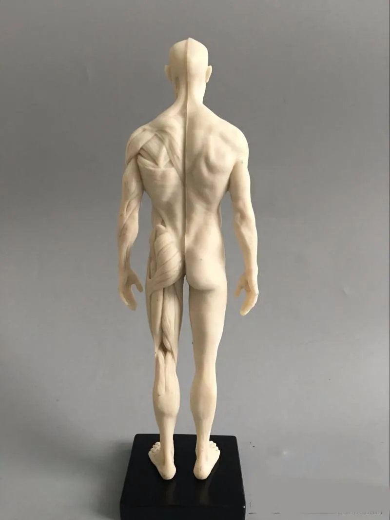 TB2VmPGtXXXXXanXXXXXXXXXXXX_!!687093950